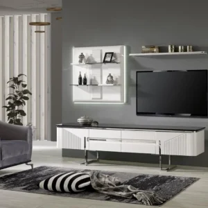 Zen TV Ünitesi